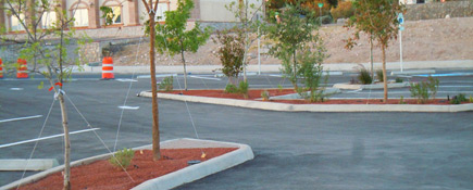 Soil Mechanics International - El Paso - Stanton Parking Lot